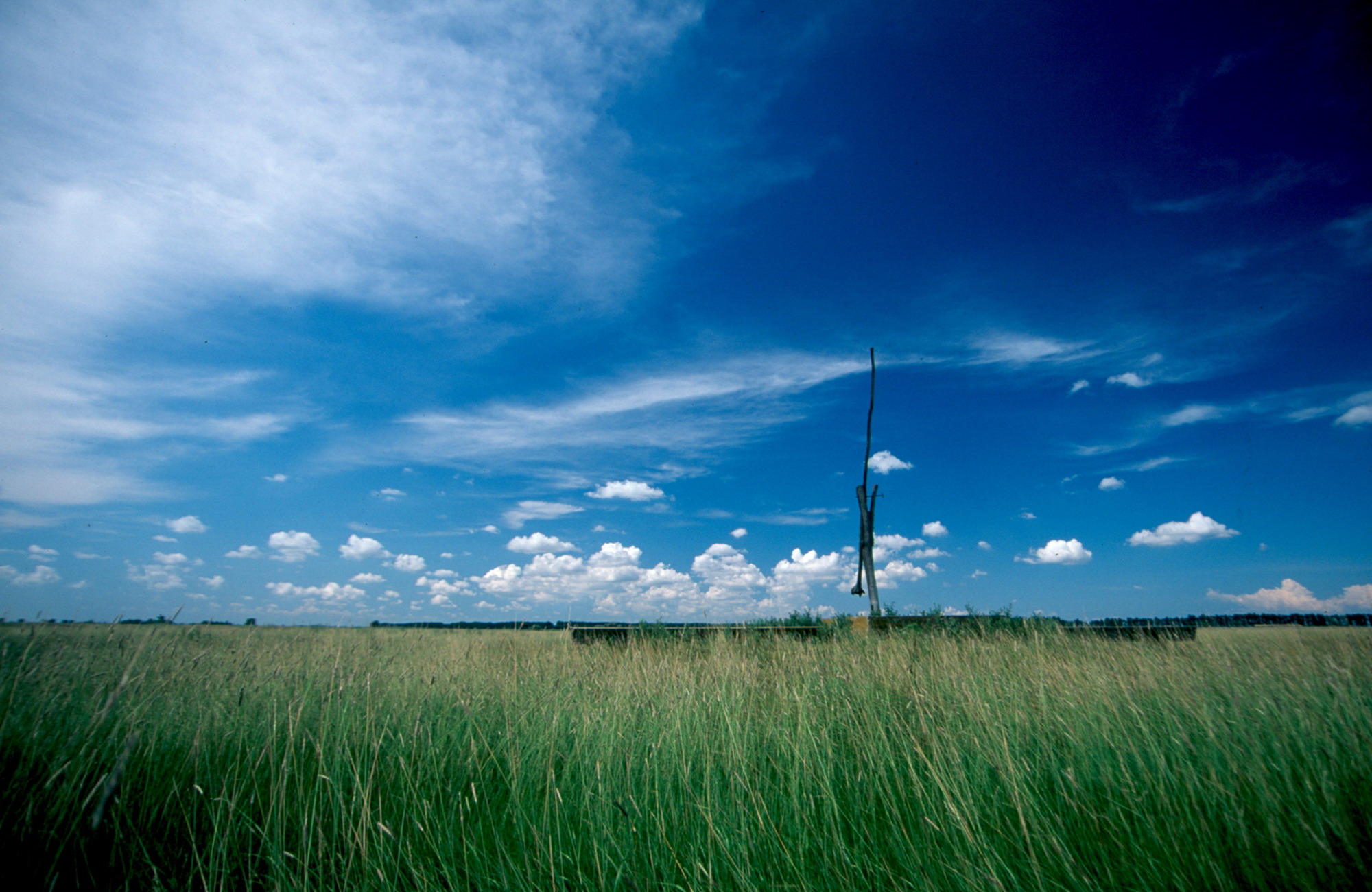 A képen gémeskút előtte zöldellő mező