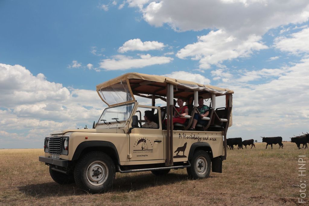 A képen a szafari autó Land Rover Defender