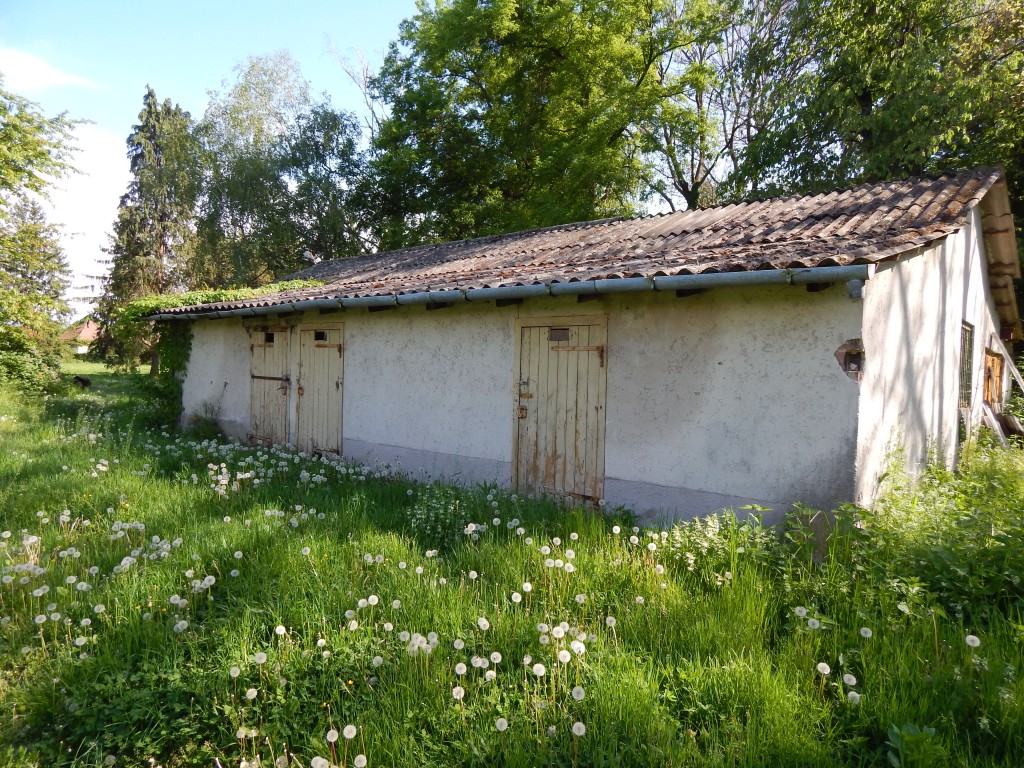Régi