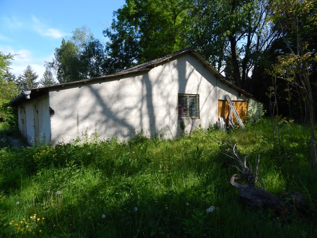 Régi
