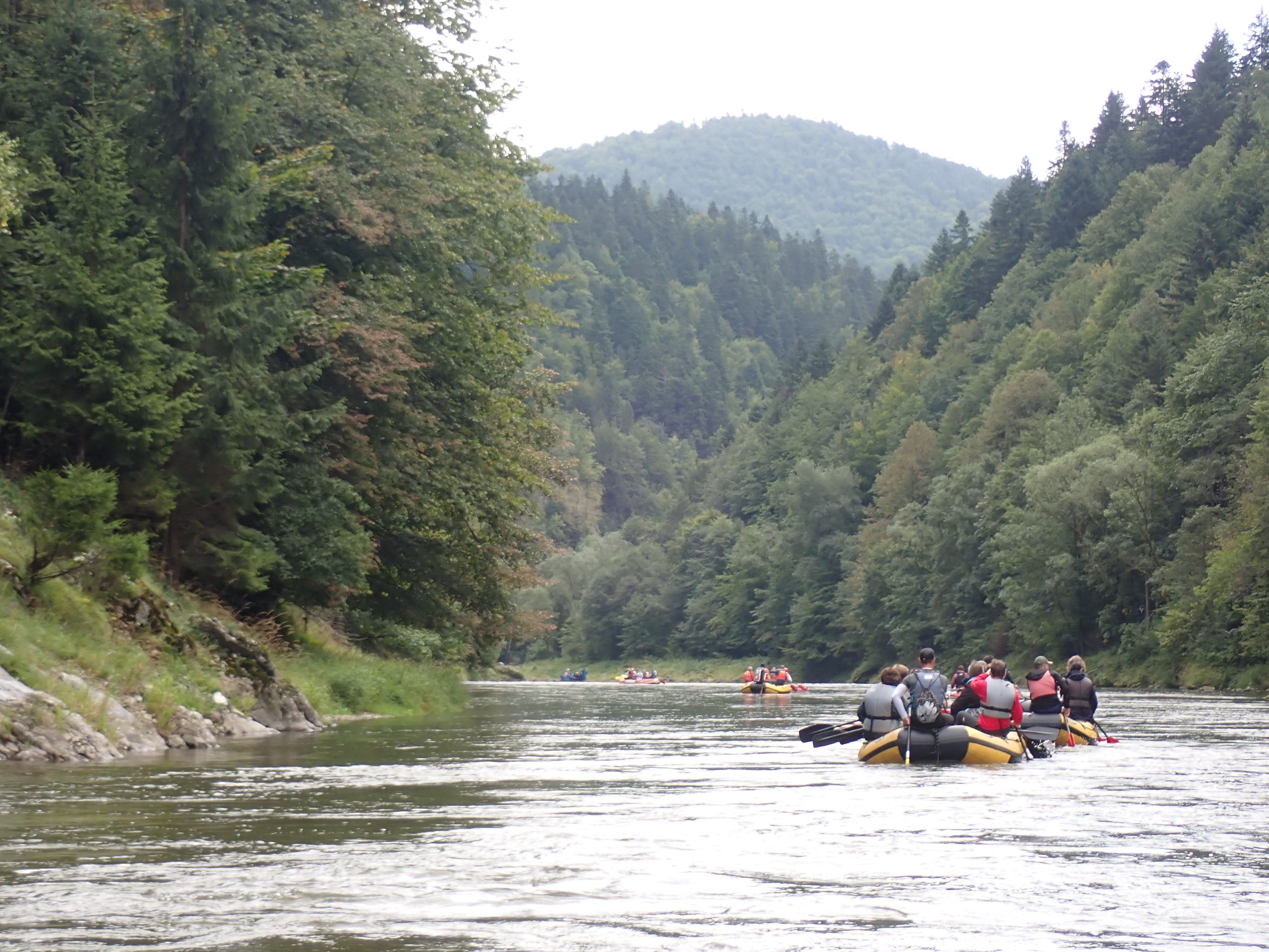 Evezés a Dunajec áttörésen