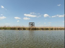 Vezetett túra a Föld Világnapja alkalmából a Tiszavirág Ártéri Sétaúton