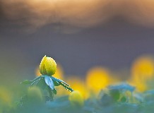 Téltemető túra Cégénydányádon