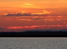 Alkonyatkor madarásztunk a halastavaknál