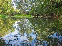 Alámerülés – a Túr rejtőzködői