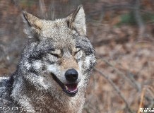 Húsvét a Hortobágyi Vadasparkban