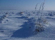 Januári és februári programok