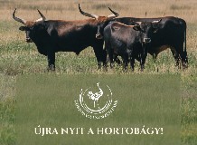 Újra látogathatóak létesítményeink