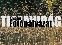 Tiszavirág fotópályázat