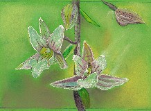 Alkotópályázat - eredményhirdetés