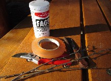 Oltási bemutató a Tiszakürti Arborétumban