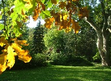 Családi délelőtt a Tiszakürti Arborétumban
