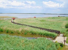 Föld-napi madarásztúra Hortobágy-Halastón