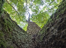 Közbeszerzési tájékoztató