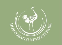 Tájékoztatás villanypásztor létesítéséhez