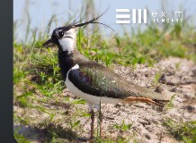 Együttműködés az EXIM Hungary-vel