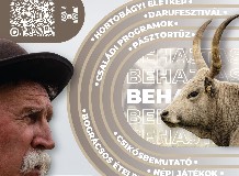 Szent Dömötör-napi Behajtási Ünnep és Kézműves Vásár és Darufesztivál