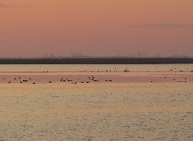 Madarásztúra és csillagséta Hortobágy-halastón