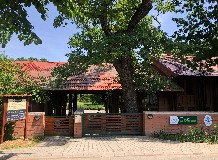 Hullócsillag néző alkonyati séta a Tiszakürti Aborétumban