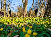Téltemető túra Cégénydányádon