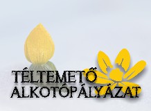 Alkotópályázat a téltemetőről