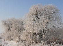 Téli túrák a Hortobágyi Nemzeti Park Igazgatóság területén