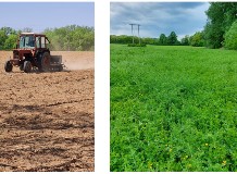 Gyeptelepítés a gyakorlatban, és amit tudni lehet a KAP-RD21-RD22-2-25 