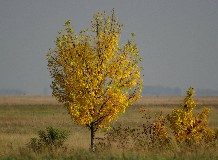 Szeptemberi programok