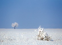 Téli programlehetőségek a Hortobágyon