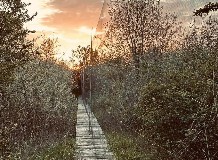 Befejeződtek a CES-gyűrűzések Hortobágyi-halastón