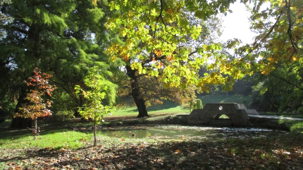 A képen a Tiszakürti Arborétum fái