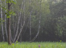 Alkotópályázat