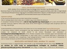 Darukonyha Receptverseny