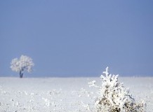 Decemberi nyitvatartások a Hortobágyon