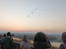 Hajnali darules - kora reggeli élmények
