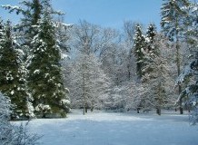 Havas téli túra a Tiszakürti Arborétumban