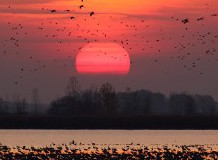 50 éves lesz a Hortobágyi Nemzeti Park