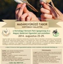 Madárgyűrűző tábor Hortobágy-Halastón