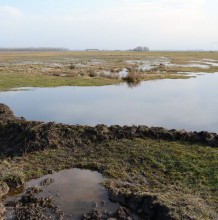 Mocsarak, zsombékosok vízelvezetéseinek megszüntetése