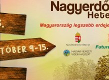 Nagyerdő Hete