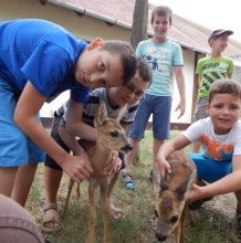 Nagyon jó hangulatban telt a vadasparki tábor