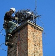 Special stork nest frame