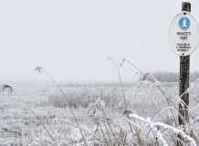 Télbúcsúztató napok a Hortobágyon