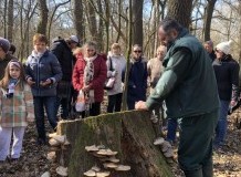 Téli túra a Tiszakürti Arborétumban