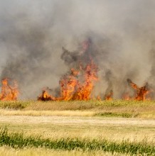 Tűzvész a Hortobágyi Nemzeti Parkban