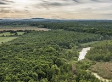 Virágzó lápok túra a Beregben