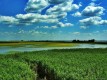 Vezetett túra a Tisza-tavi Vízi Sétányon